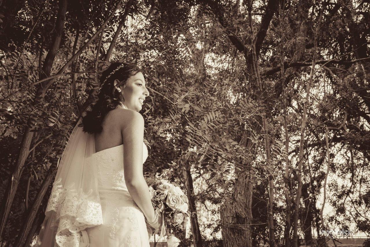 COBERTURA DE EVENTOS: Fotografia